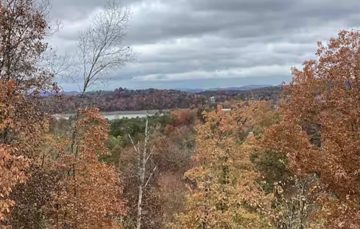Fall foliage overlooking Douglas Lake